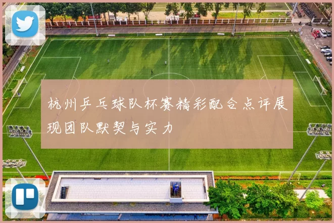 杭州乒乓球队杯赛精彩配合点评展现团队默契与实力