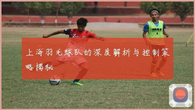 上海羽毛球队的深度解析与控制策略揭秘