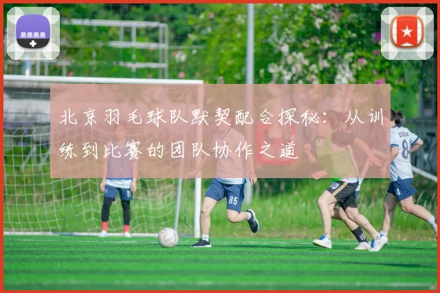 北京羽毛球队默契配合探秘：从训练到比赛的团队协作之道