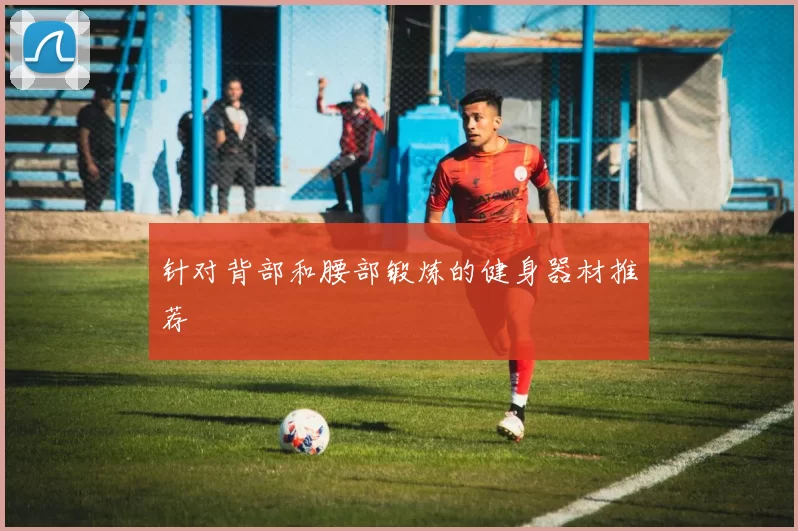 针对背部和腰部锻炼的健身器材推荐