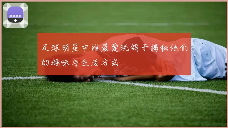 足球明星中谁最爱玩鸽子揭秘他们的趣味与生活方式