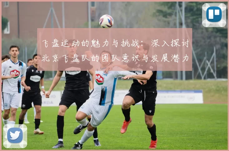 飞盘运动的魅力与挑战：深入探讨北京飞盘队的团队意识与发展潜力