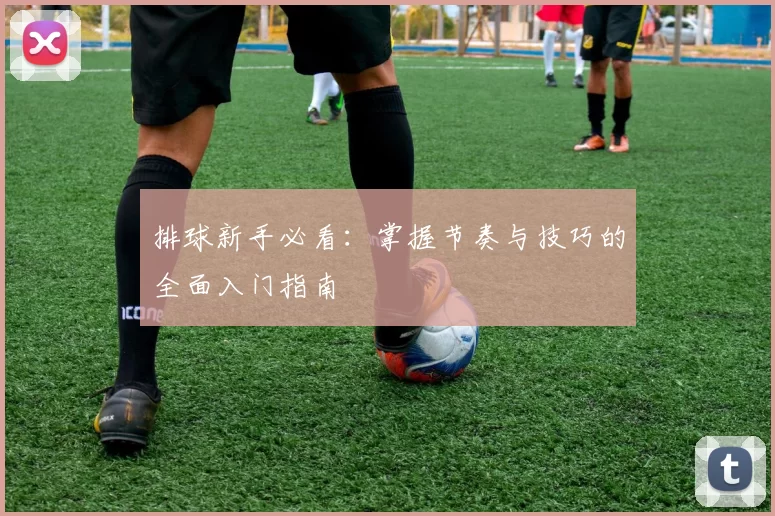 排球新手必看：掌握节奏与技巧的全面入门指南