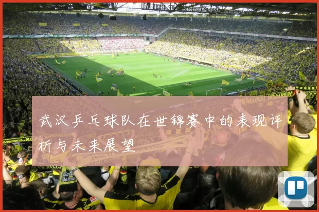 武汉乒乓球队在世锦赛中的表现评析与未来展望