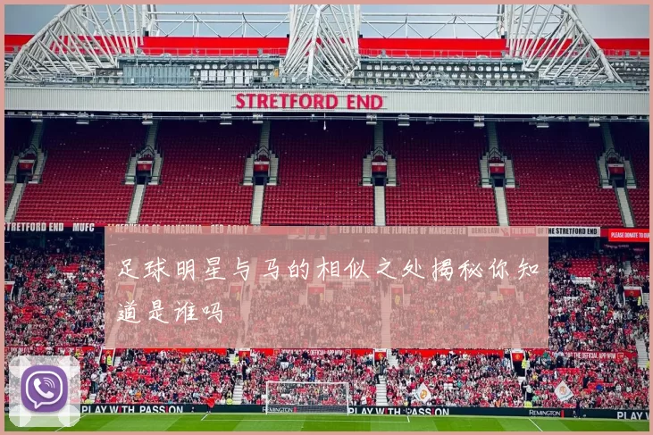 足球明星与马的相似之处揭秘你知道是谁吗