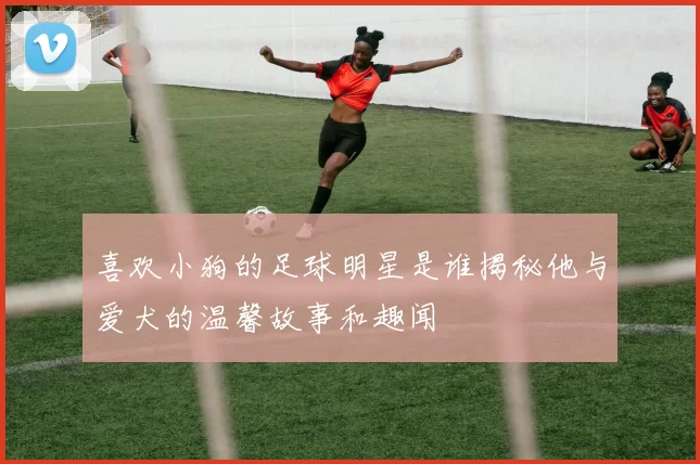 喜欢小狗的足球明星是谁揭秘他与爱犬的温馨故事和趣闻