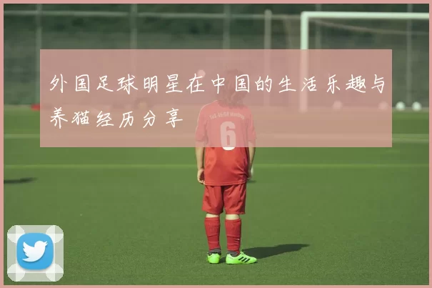外国足球明星在中国的生活乐趣与养猫经历分享