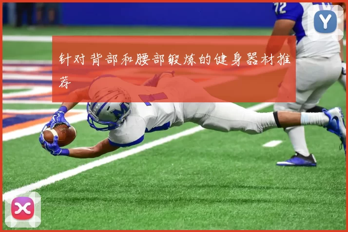 针对背部和腰部锻炼的健身器材推荐