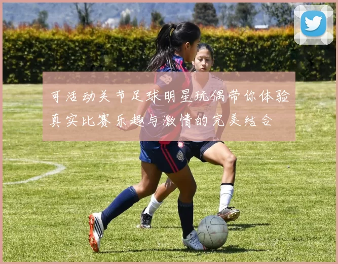 可活动关节足球明星玩偶带你体验真实比赛乐趣与激情的完美结合