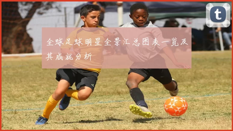 全球足球明星全景汇总图表一览及其成就分析