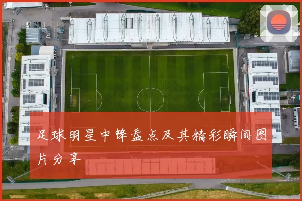 足球明星中锋盘点及其精彩瞬间图片分享