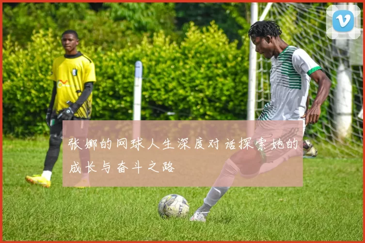 张娜的网球人生深度对话探索她的成长与奋斗之路