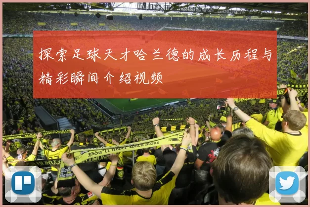 探索足球天才哈兰德的成长历程与精彩瞬间介绍视频