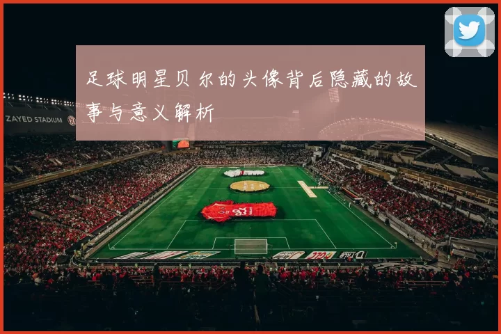 足球明星贝尔的头像背后隐藏的故事与意义解析