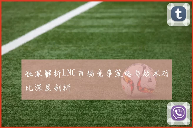 独家解析LNG市场竞争策略与战术对比深度剖析