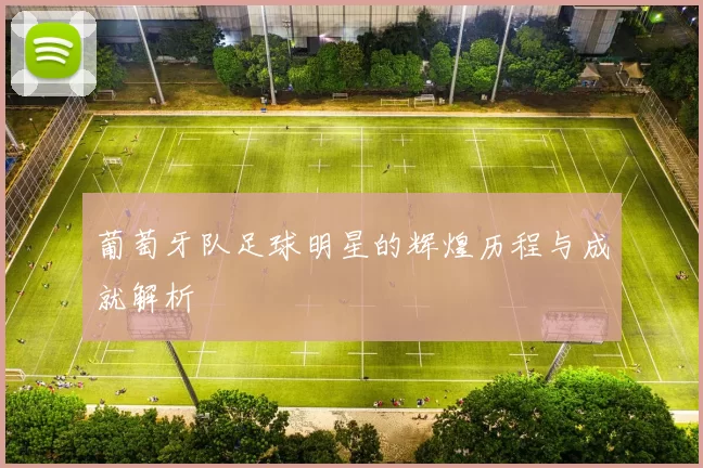 葡萄牙队足球明星的辉煌历程与成就解析