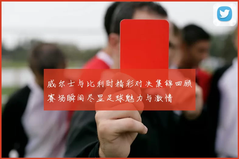 威尔士与比利时精彩对决集锦回顾赛场瞬间尽显足球魅力与激情