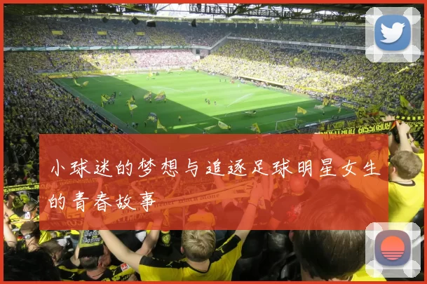 小球迷的梦想与追逐足球明星女生的青春故事