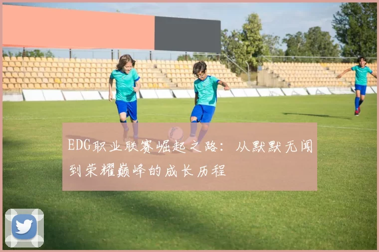 EDG职业联赛崛起之路：从默默无闻到荣耀巅峰的成长历程