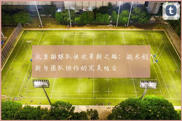 北京排球队快攻革新之路：战术创新与团队协作的完美结合