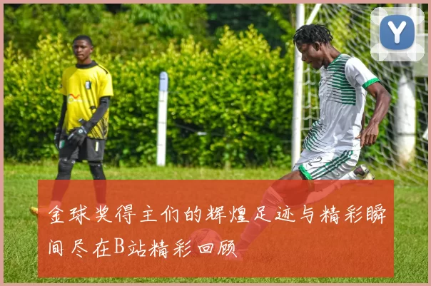 金球奖得主们的辉煌足迹与精彩瞬间尽在B站精彩回顾