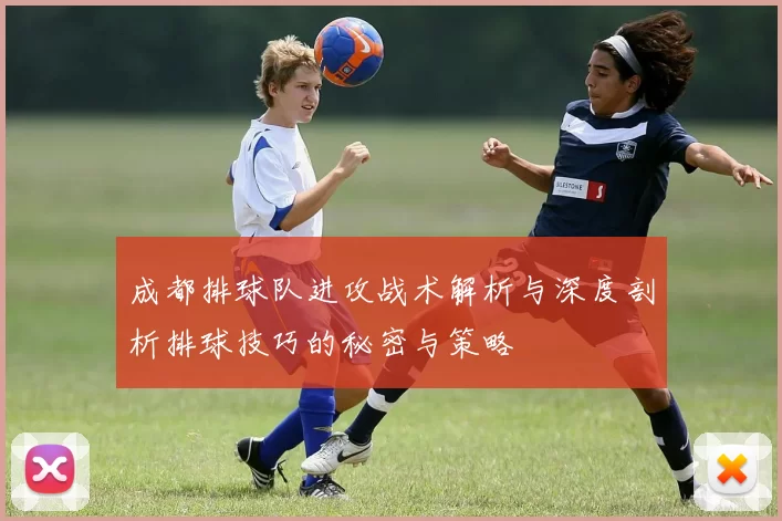 成都排球队进攻战术解析与深度剖析排球技巧的秘密与策略