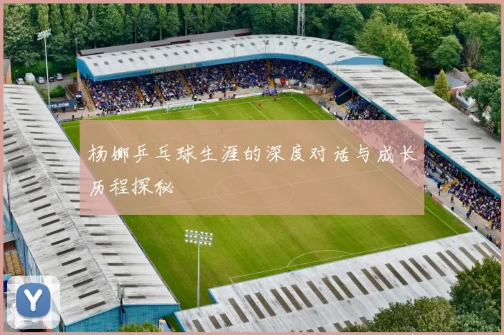 杨娜乒乓球生涯的深度对话与成长历程探秘